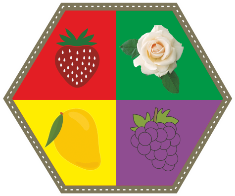 South Indian Fruit Co.